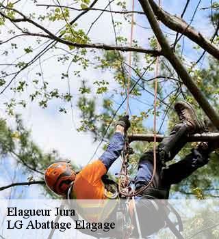 Elagueur 39 Jura LG Abattage Elagage