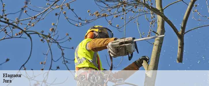 Elagueur Jura