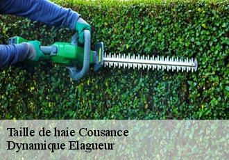 Taille de haie  cousance-39190 Dynamique Elagueur