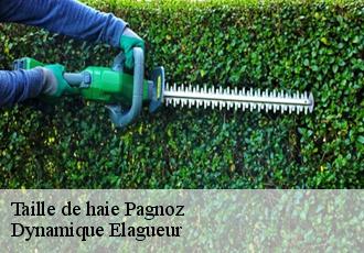 Taille de haie  pagnoz-39330 Dynamique Elagueur