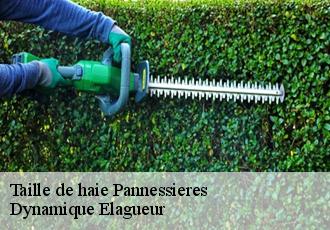 Taille de haie  pannessieres-39570 Dynamique Elagueur