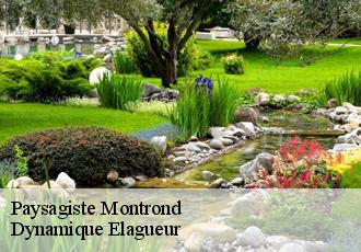 Paysagiste  montrond-39300 Dynamique Elagueur