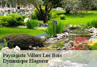 Paysagiste  villers-les-bois-39120 Dynamique Elagueur